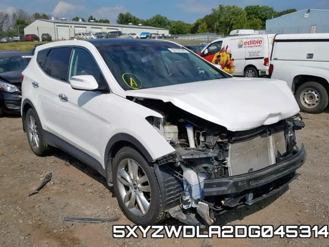 5XYZWDLA2DG045314