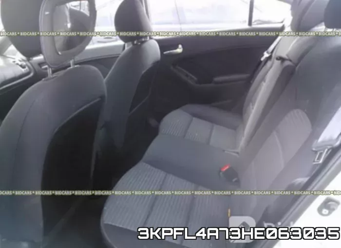 3KPFL4A73HE063035_8.webp