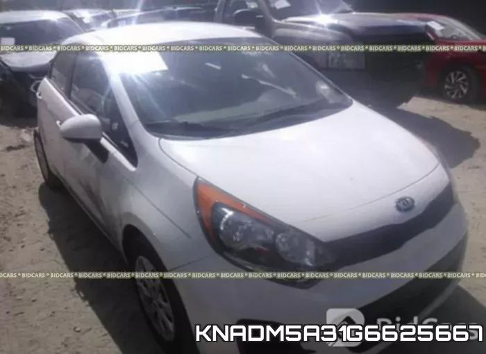 KNADM5A31G6625667