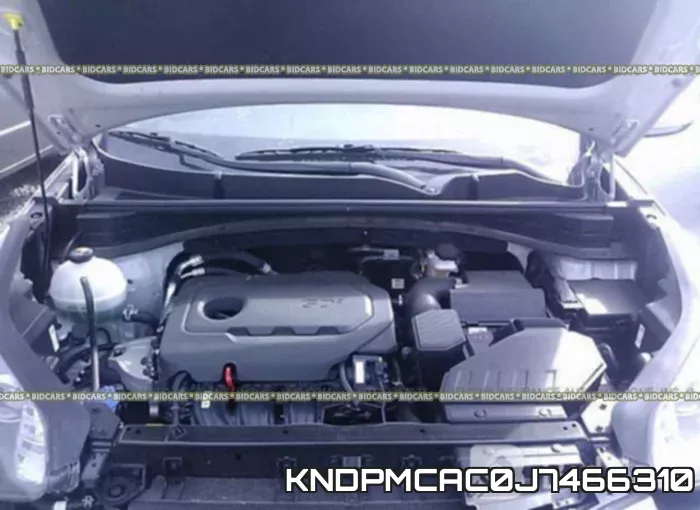 KNDPMCAC0J7466310_10.webp