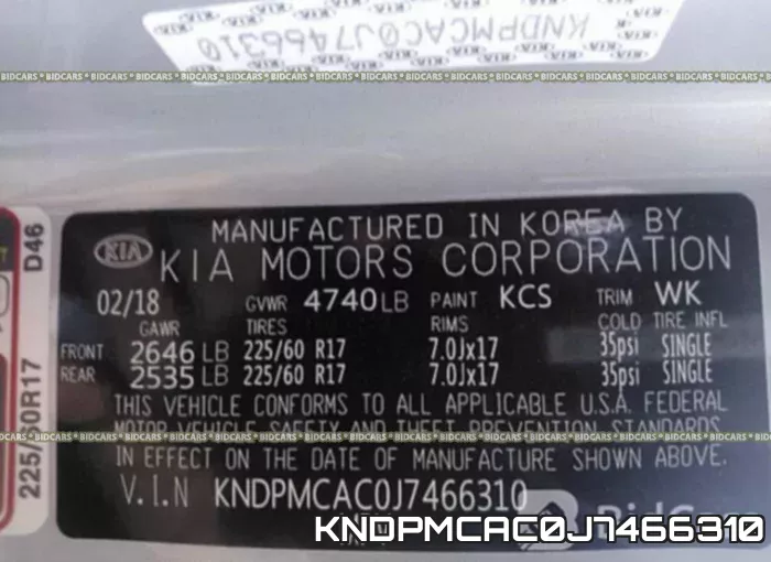 KNDPMCAC0J7466310_9.webp