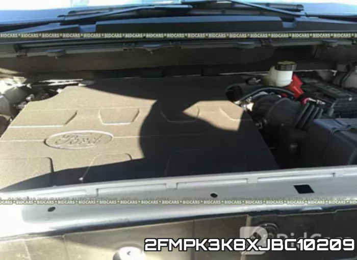 2FMPK3K8XJBC10209_10.webp