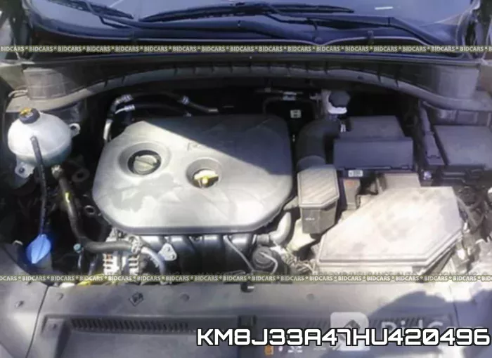 KM8J33A47HU420496_10.webp