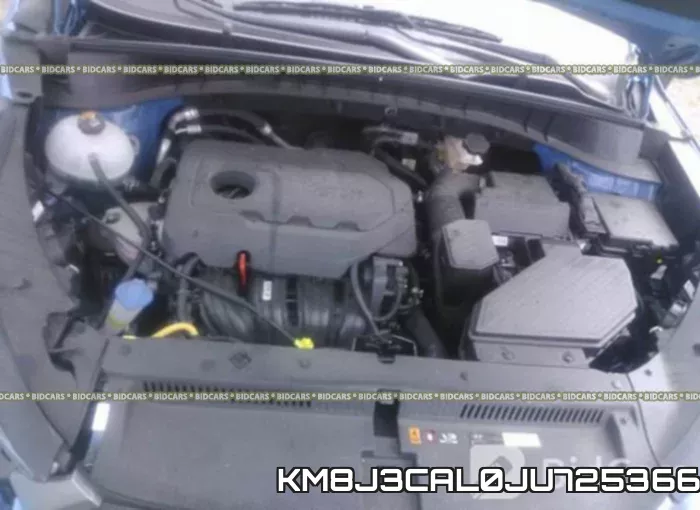 KM8J3CAL0JU725366_10.webp