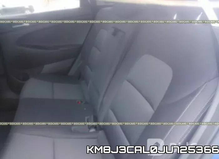 KM8J3CAL0JU725366_8.webp