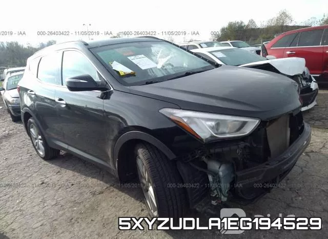5XYZUDLA1EG194529