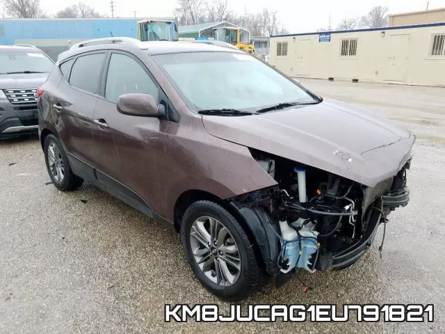 KM8JUCAG1EU791821