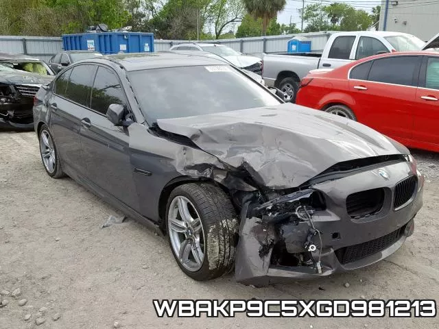 WBAKP9C5XGD981213