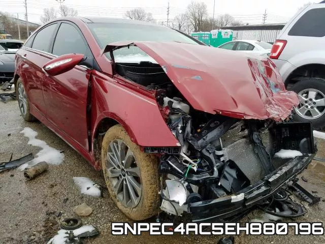 5NPEC4AC5EH880796