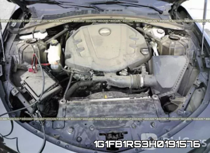 1G1FB1RS3H0191576_10.webp