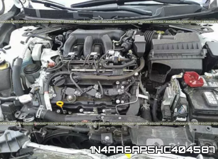 1N4AA6AP5HC404587_10.webp