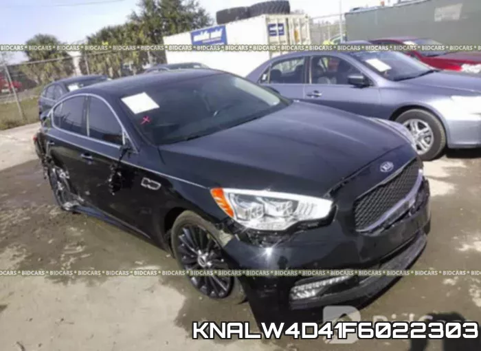 KNALW4D41F6022303