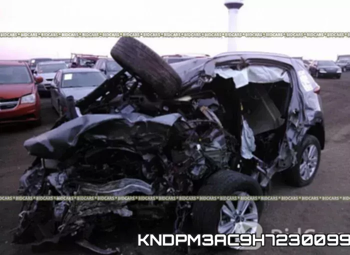 KNDPM3AC9H7230099