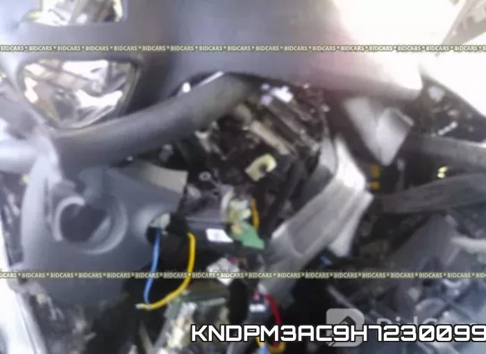 KNDPM3AC9H7230099