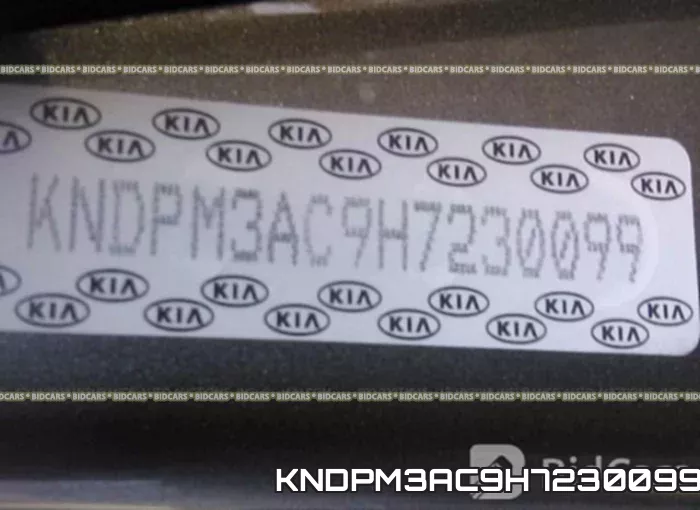 KNDPM3AC9H7230099_9.webp
