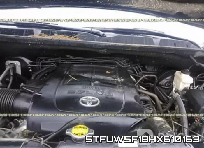 5TFUW5F18HX610163_10.webp