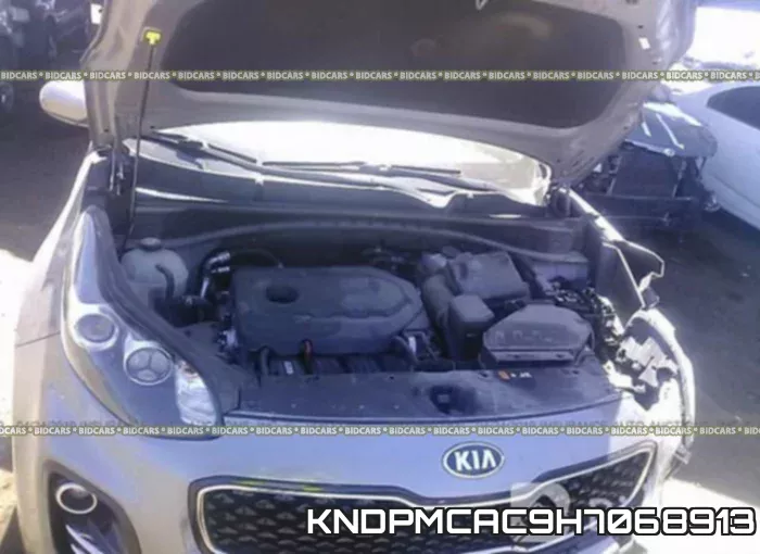 KNDPMCAC9H7068913_10.webp