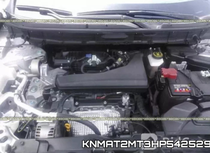 KNMAT2MT3HP542529_10.webp