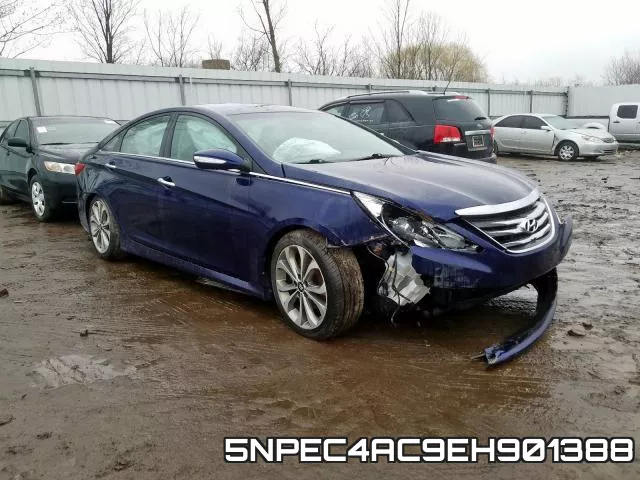 5NPEC4AC9EH901388