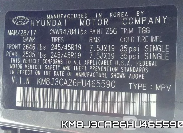KM8J3CA26HU465590_9.webp
