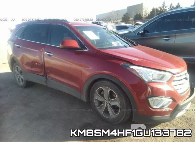 KM8SM4HF1GU133782