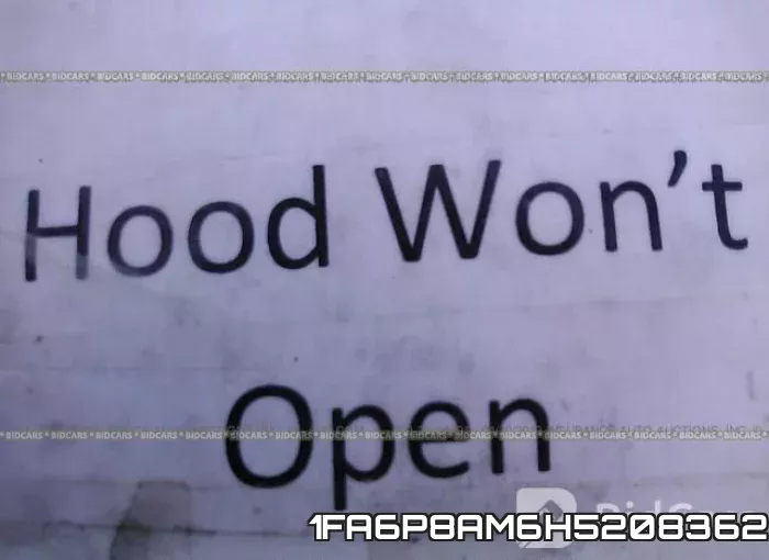 1FA6P8AM6H5208362_10.webp
