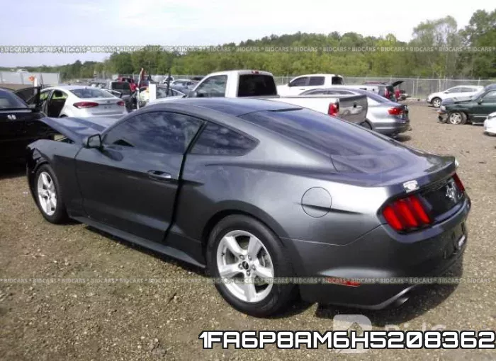 1FA6P8AM6H5208362_3.webp
