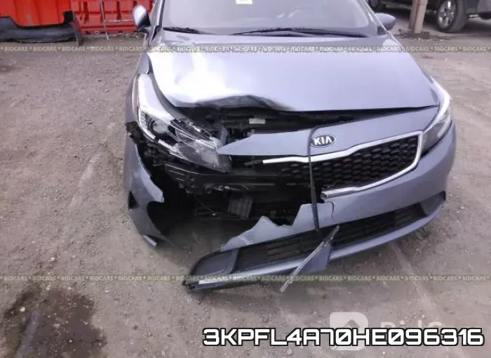 3KPFL4A70HE096316_6.webp