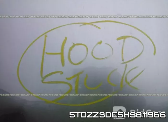 5TDZZ3DC5HS811966_10.webp