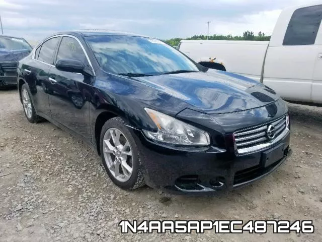 1N4AA5AP1EC487246