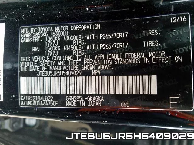 JTEBU5JR5H5409029_10.webp