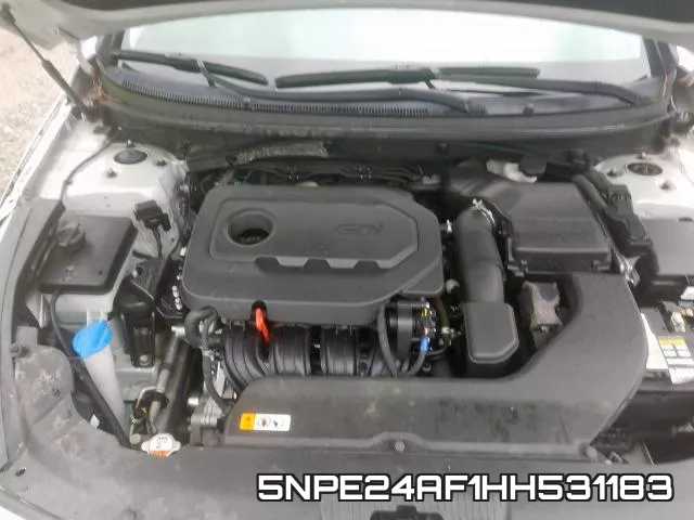5NPE24AF1HH531183_7.webp