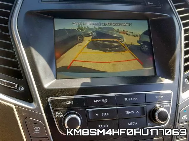 KM8SM4HF0HU177063