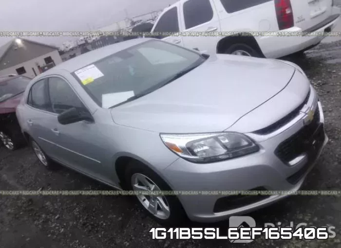 1G11B5SL6EF165406