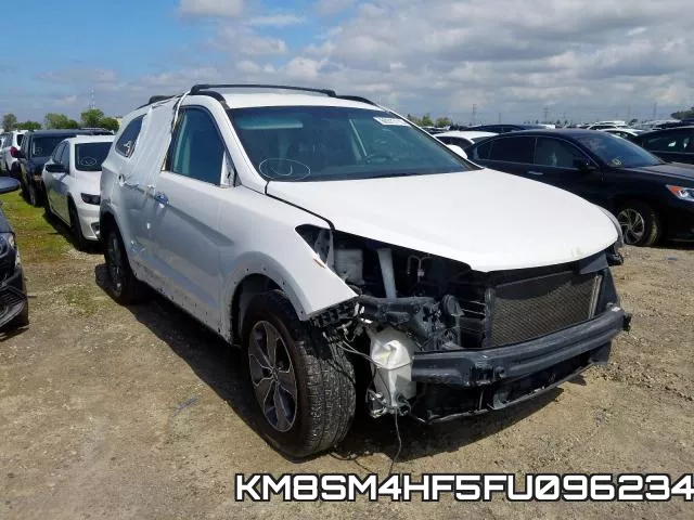 KM8SM4HF5FU096234