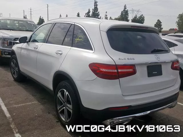 WDC0G4JB1KV181063