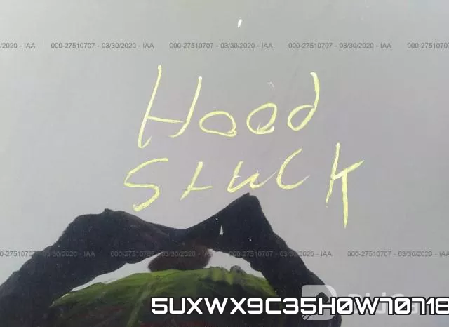 5UXWX9C35H0W70718_10.webp