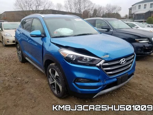 KM8J3CA25HU501009