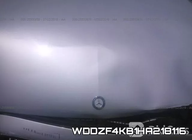WDDZF4KB1HA218116_10.webp