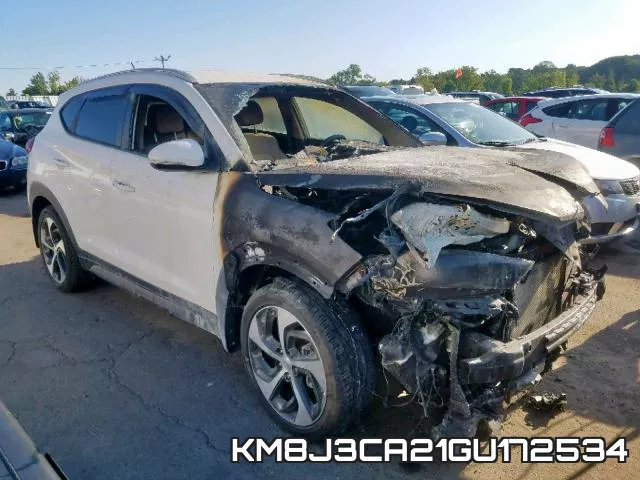 KM8J3CA21GU172534