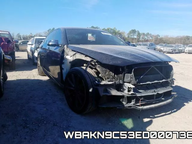 WBAKN9C53ED000738