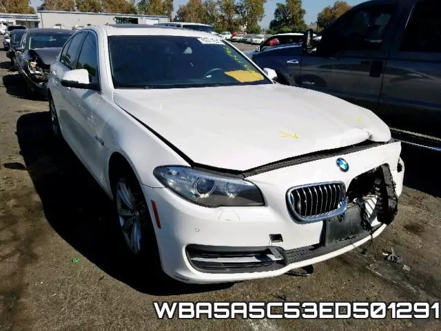 WBA5A5C53ED501291