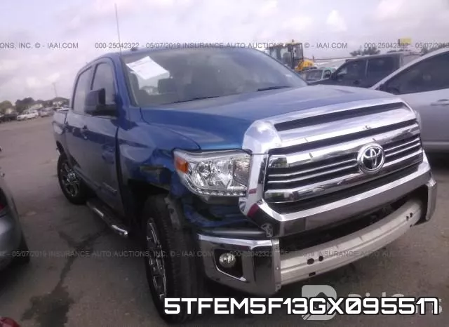 5TFEM5F13GX095517