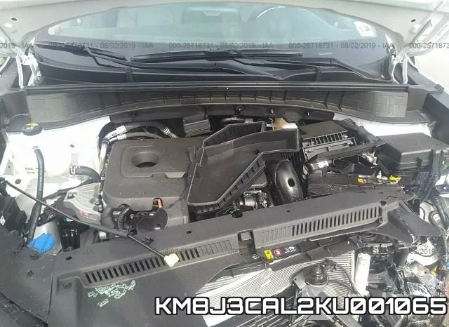 KM8J3CAL2KU001065_10.webp