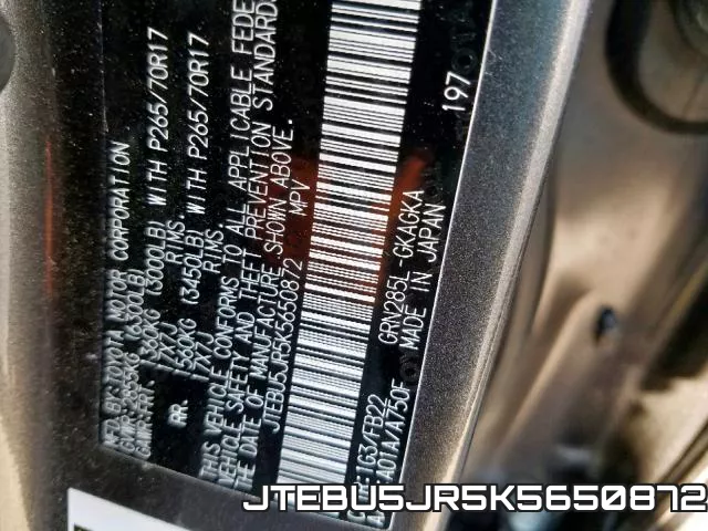 JTEBU5JR5K5650872_10.webp