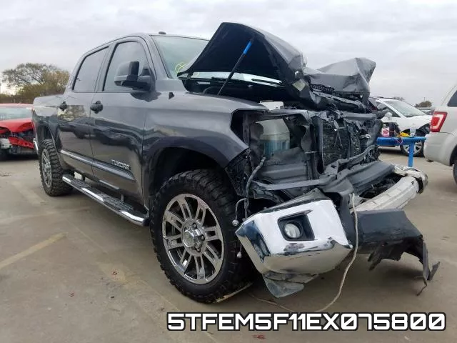 5TFEM5F11EX075800