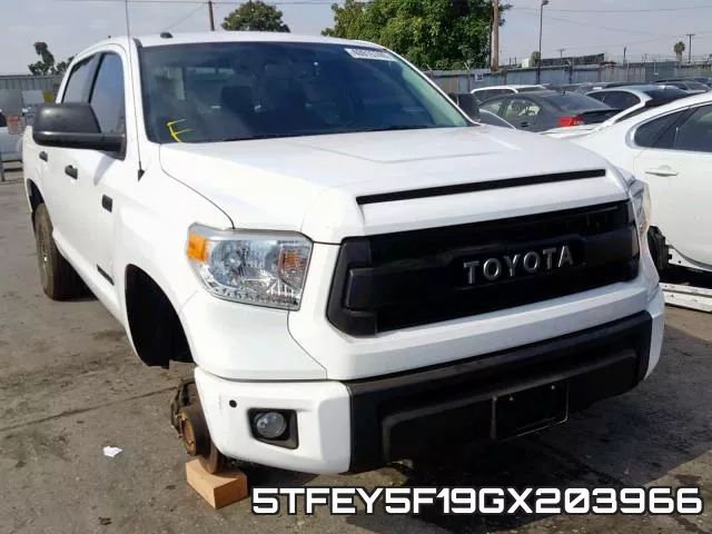 5TFEY5F19GX203966