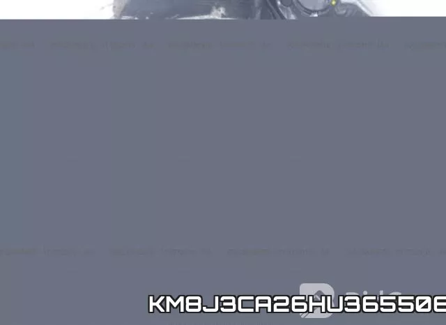 KM8J3CA26HU365506
