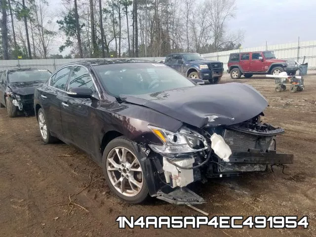 1N4AA5AP4EC491954