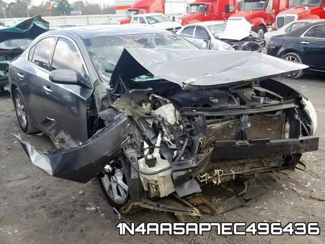 1N4AA5AP7EC496436